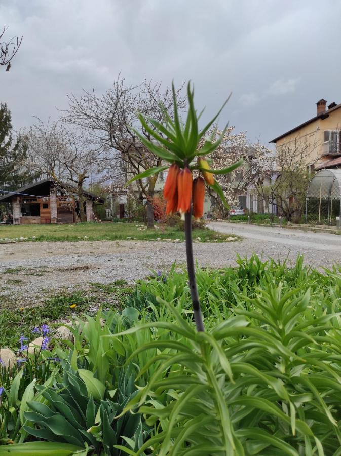 Bed and Breakfast Tetto Alle Rondini Cuneo Exterior foto